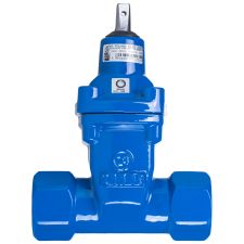 Zasuwa miękkouszczelniona gwintowana GW DN050 3116