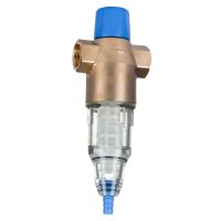 Filtr mechaniczny z płukaniem wstecznym (90) BWT Protector BW 1" 810417